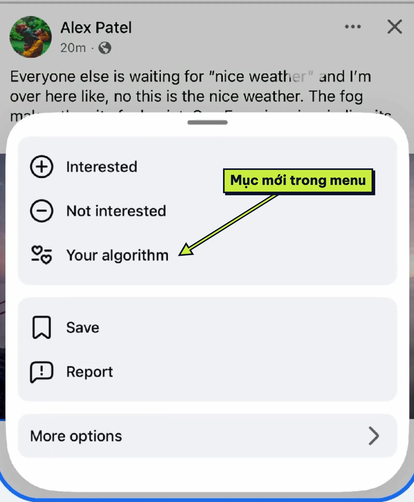 Menu ba chấm của một bài trên Facebook có dòng Your algorithm dưới Interested và Not interested