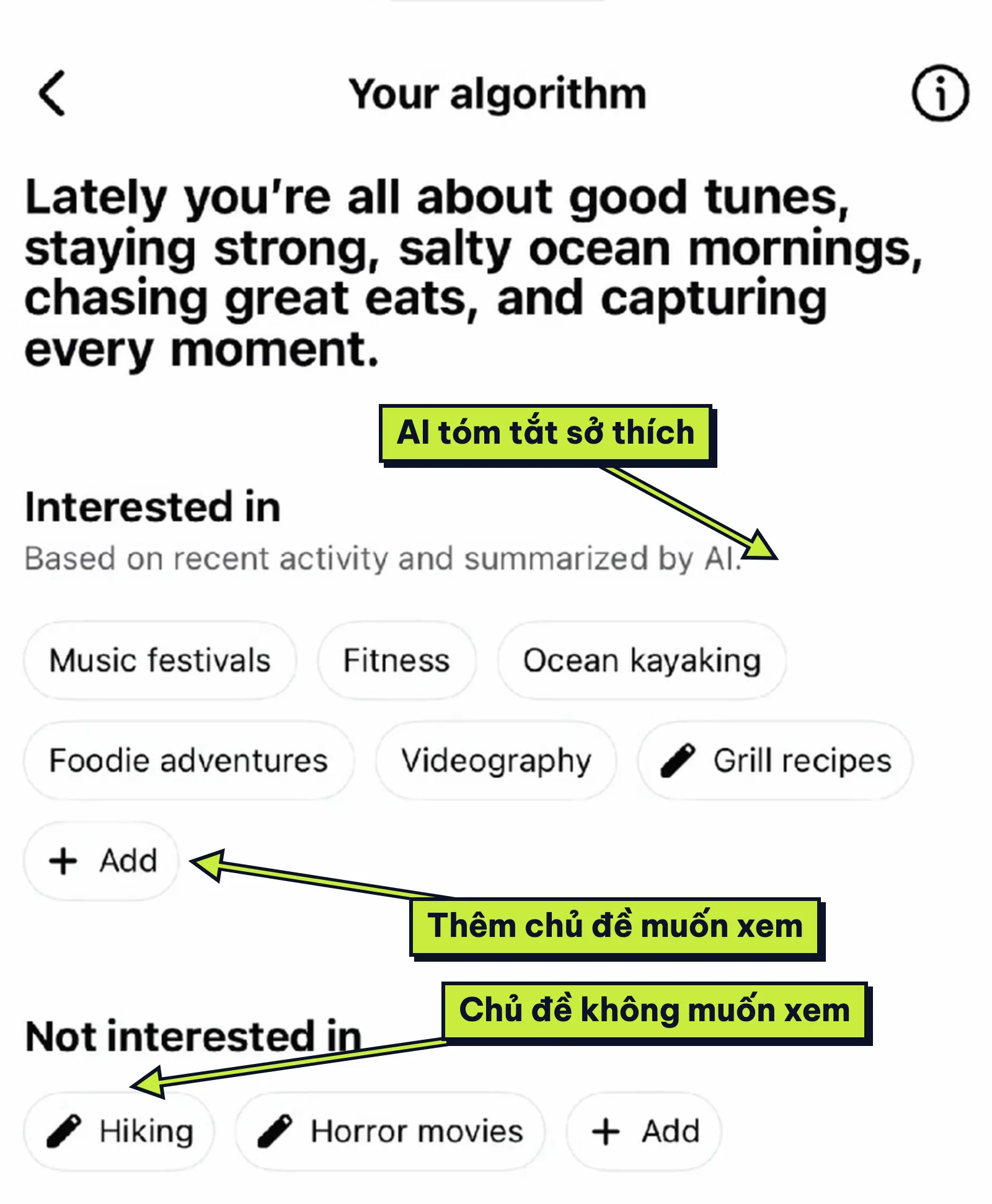Trang Your algorithm Facebook với tóm tắt sở thích do AI viết và danh sách chủ đề muốn xem, không muốn xem
