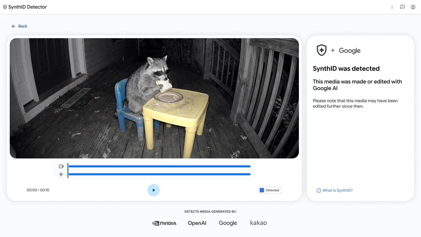 Kết quả SynthID Detector trên video gấu mèo ăn bên bàn vàng, báo có dấu SynthID của Google AI