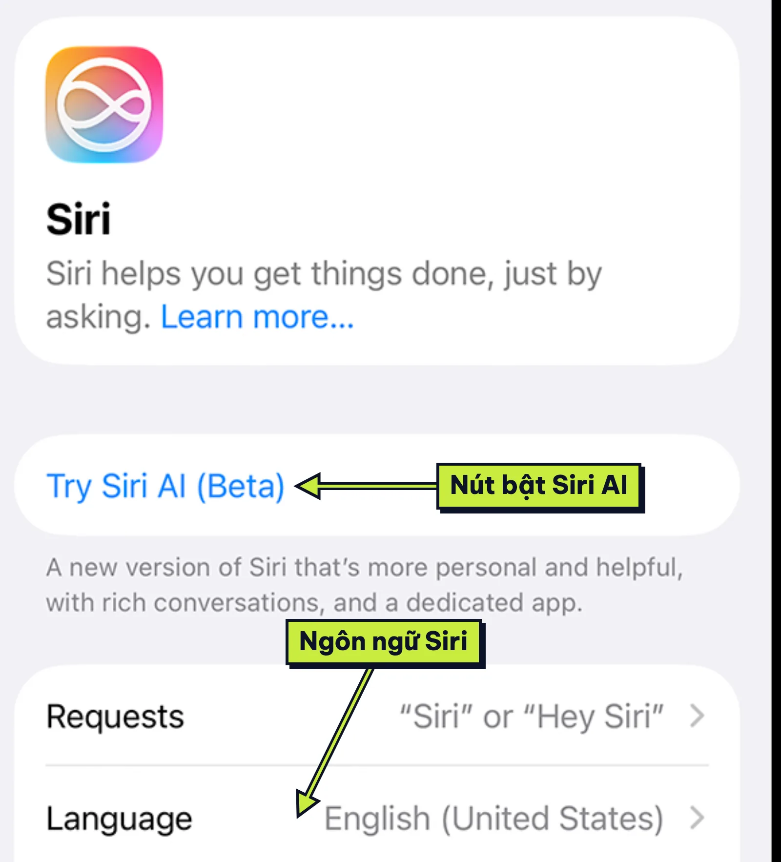 Màn cài đặt Siri trên iPhone có nút Try Siri AI (Beta), ngôn ngữ tiếng Anh
